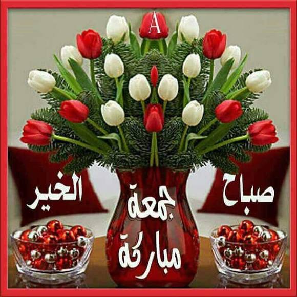 Meet your Posher, Sadia - Picture 1 of 1